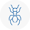 Ant Removals In Holytown