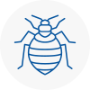 Bed Bug Extermination In Holytown