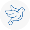 Bird Prevention Holytown