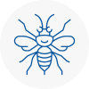 Holytown Hornet Nest Removals
