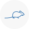 Mice Exterminators In Holytown