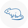 Rat Control Holytown