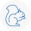 Holytown Rodent Removals