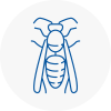 Holytown Wasp Nest Removal